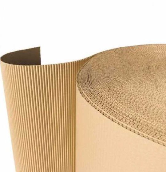 Carton Corrugado