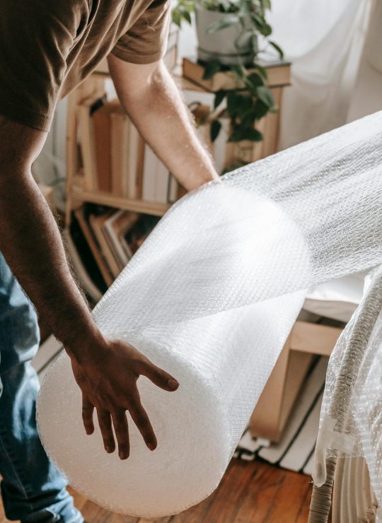 pexels-blue-bird-7217807